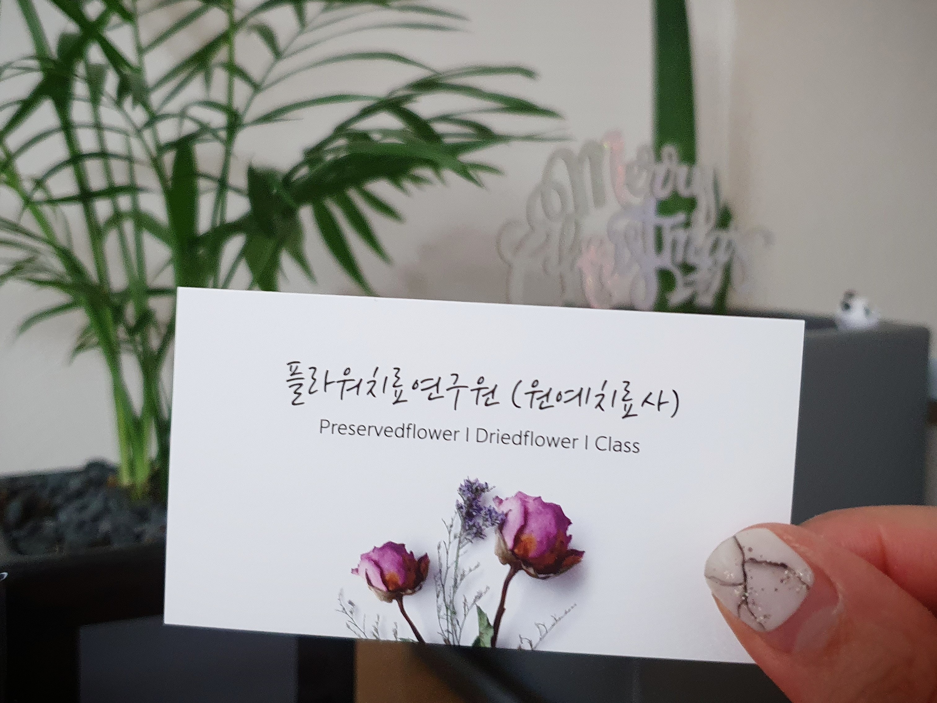 플라워치료연구원 | 밴드