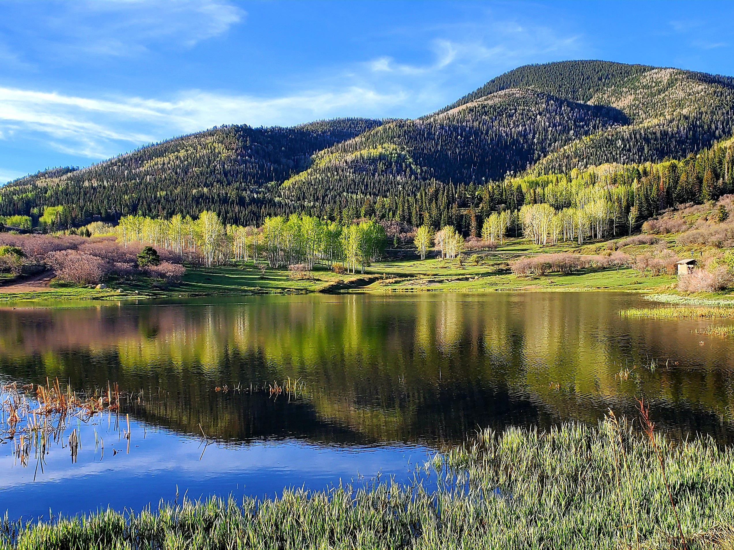 Monticello City Recreation BAND
