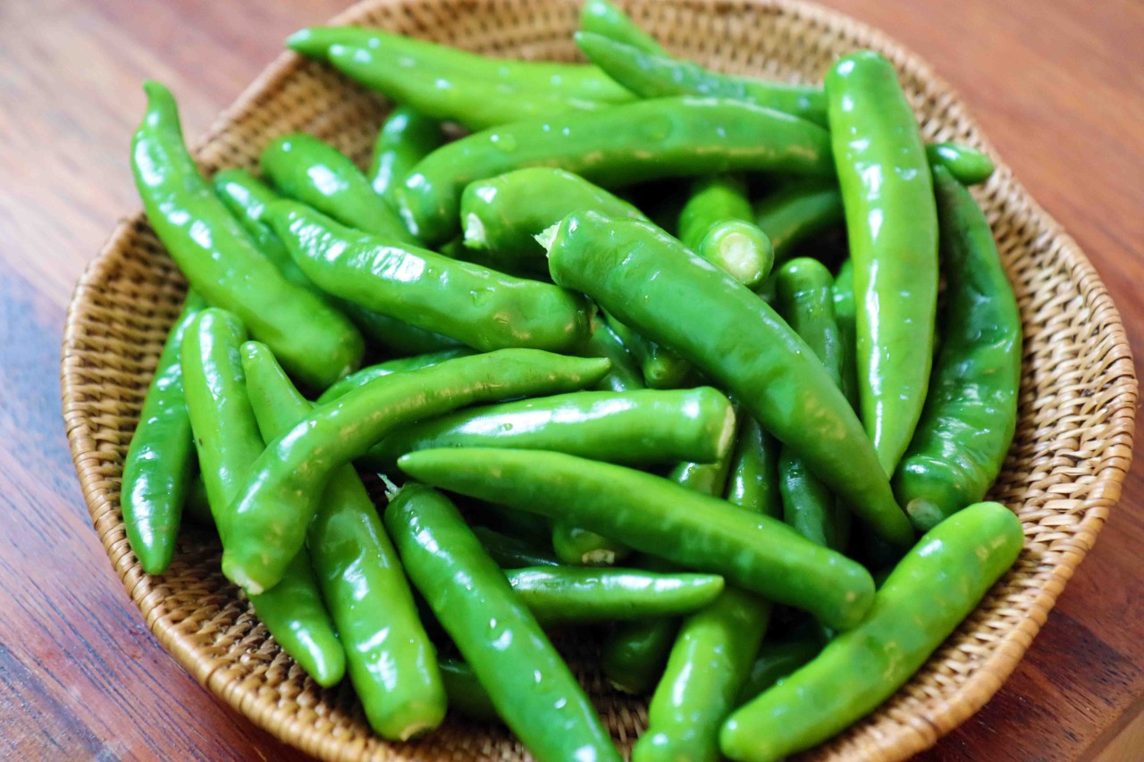 청양고추 밥도둑으로 만들기 청양고추 다대기 가지 Hot green chili 청양고추를 이용하여 맛있는 다대기를 만들어 보세요 요리사가 알려주는 정말
