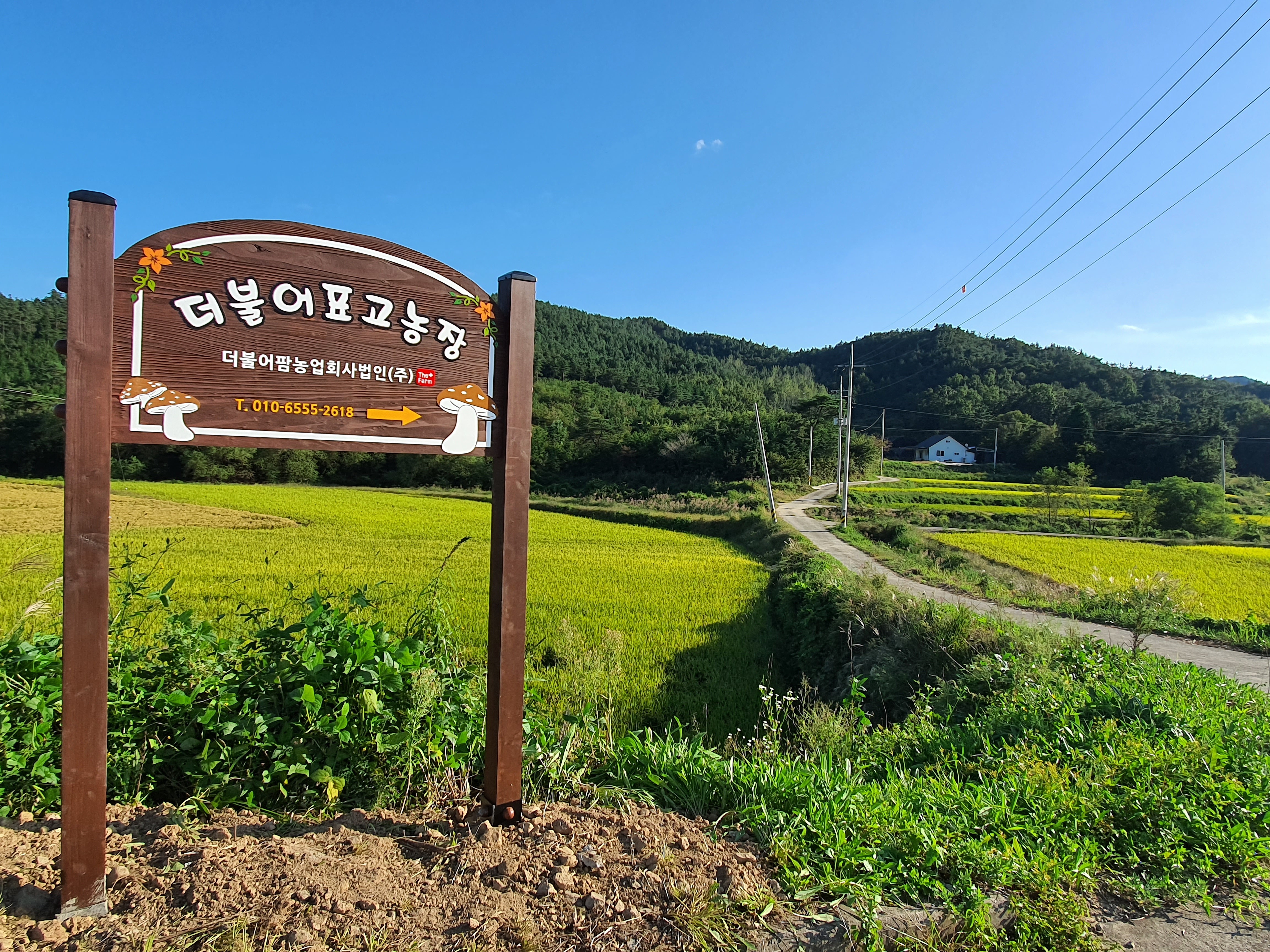 더불어팜 농업회사법인(주) | 밴드
