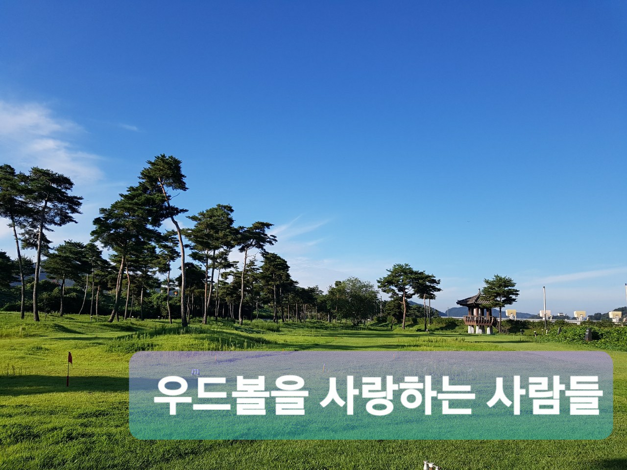 우드볼을 사랑하는 사람들 | 밴드