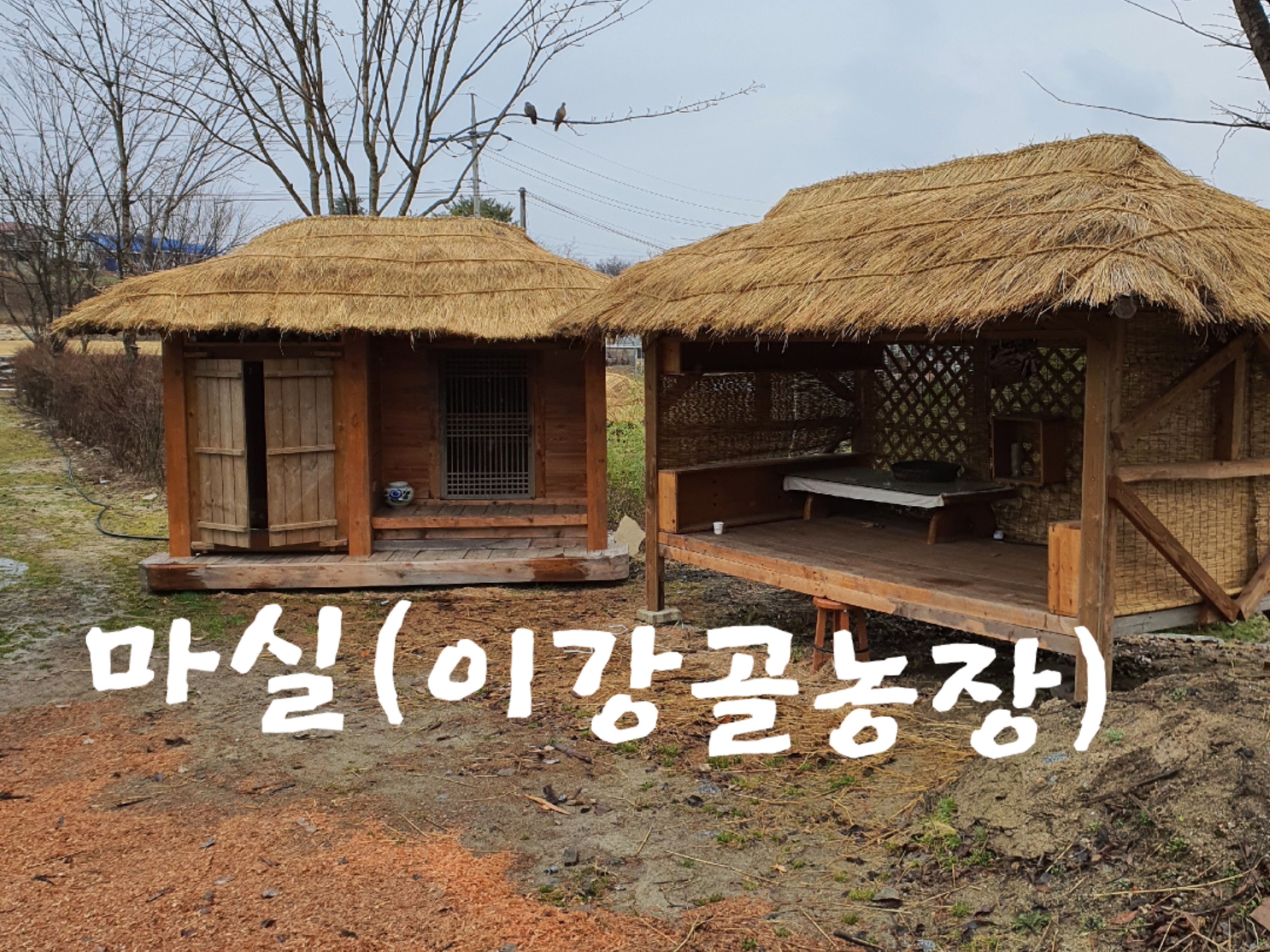 마실⛰(이강골 농장) | 밴드