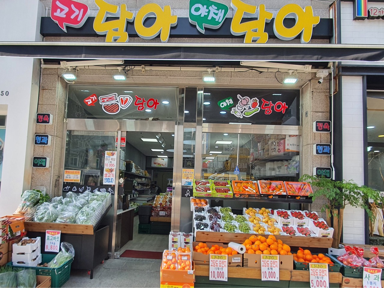 담아담아 | 밴드