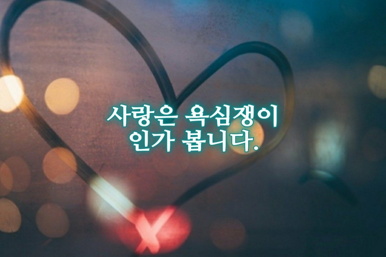욕심쟁이인가 봅니다. 泉山박원동 사랑은 주워도 주워도 부족함이 없고 사랑은 받아도 받아도 부족함이 없더이다. 언제나 목마르고