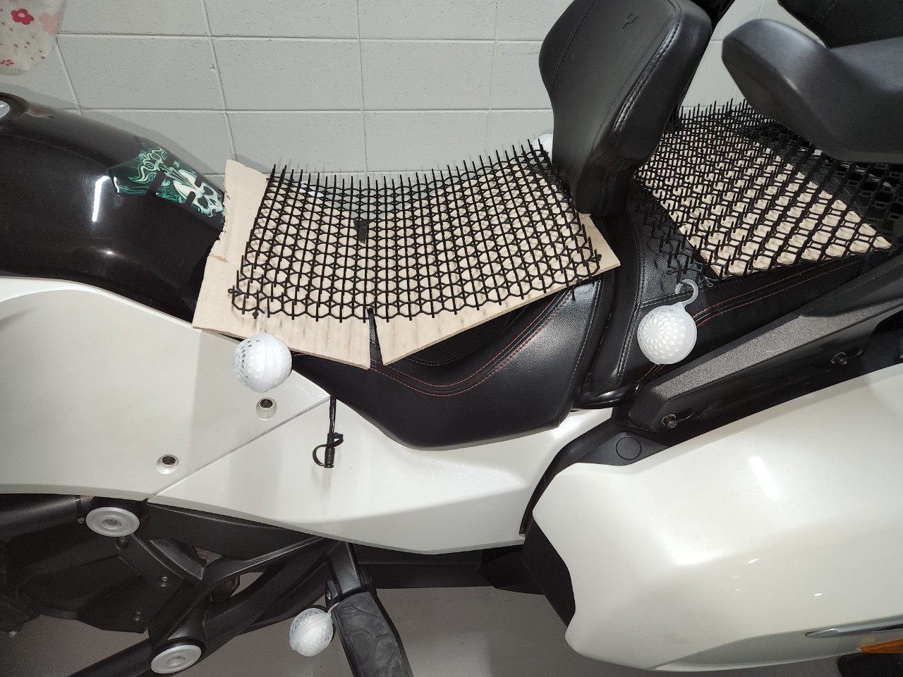 비알피 오너스클럽 (BRP Owner's Club Korea) BAND