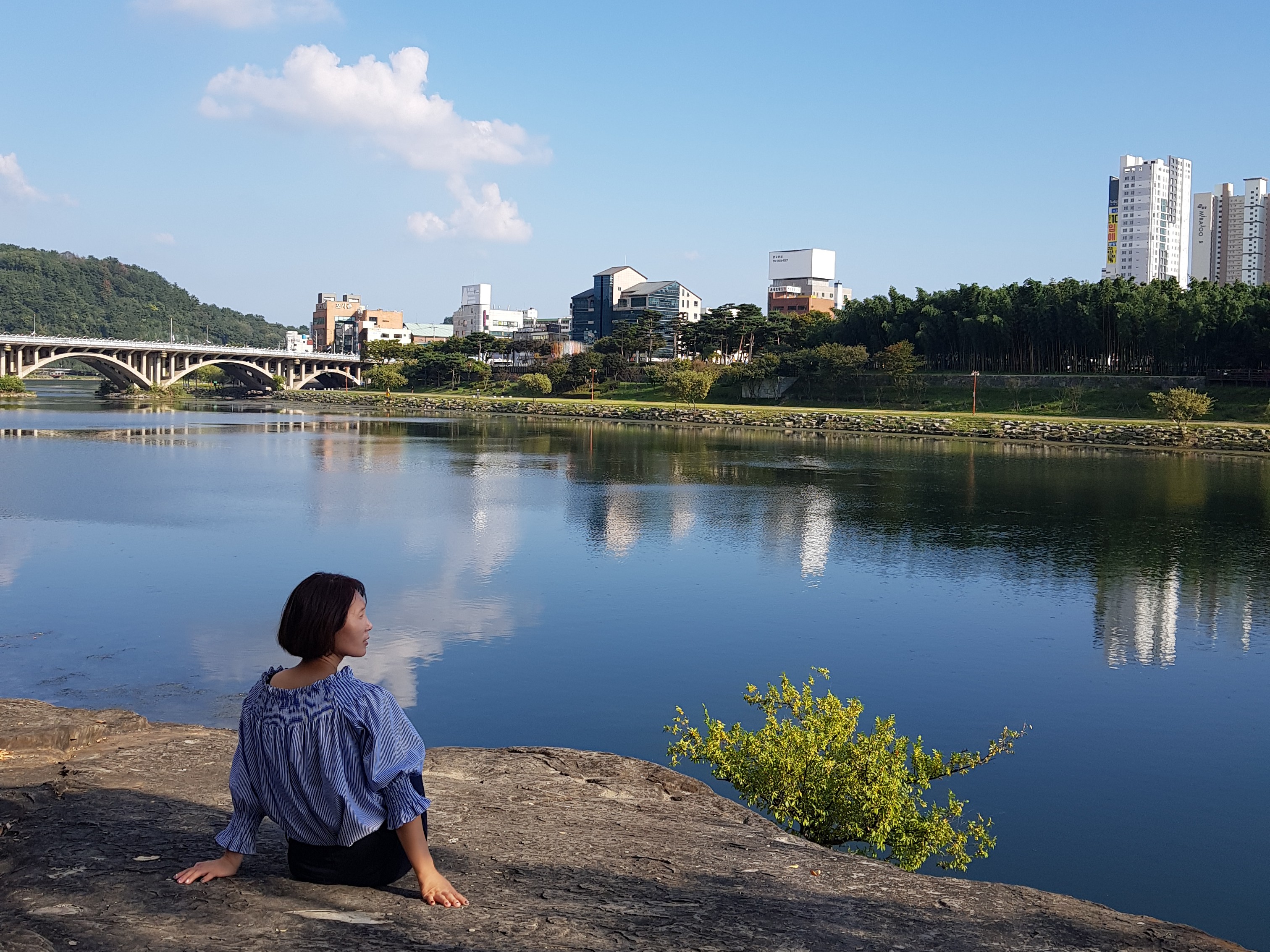 奋斗都市小说
