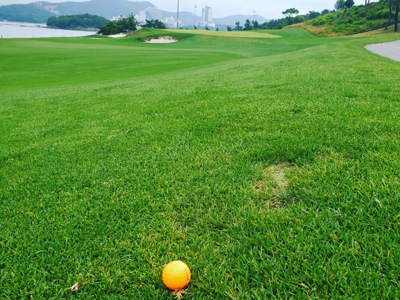 Let s Go On A Golf Trip Abroad BAND Let s Go On A Golf Trip Abroad BAND