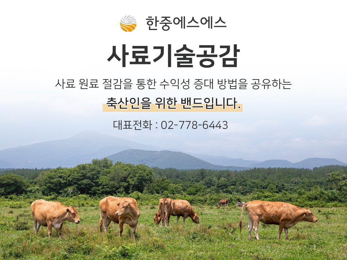 링크 미리보기