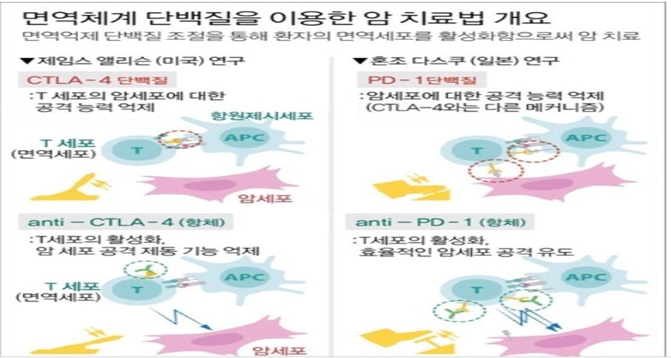 주식 경제 재테크 주식부자 BAND