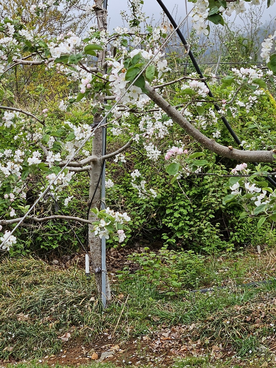 5 3 4 10 2 5 3 4 10 2