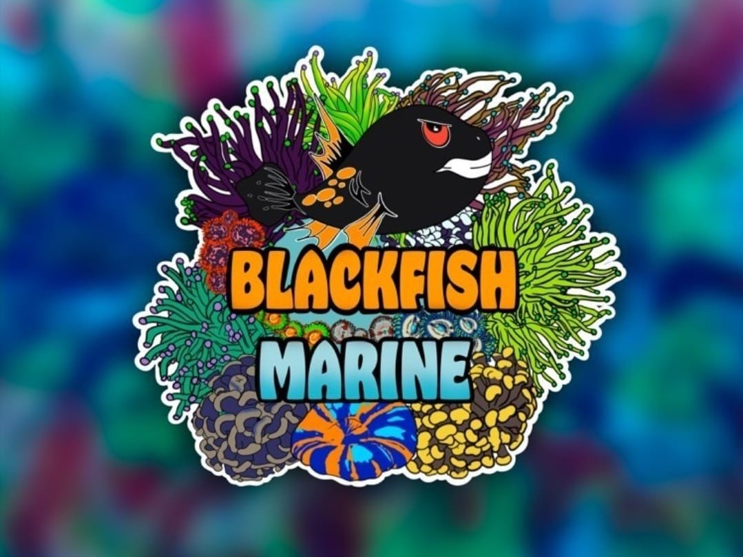 Blackfish Marine ltd BAND