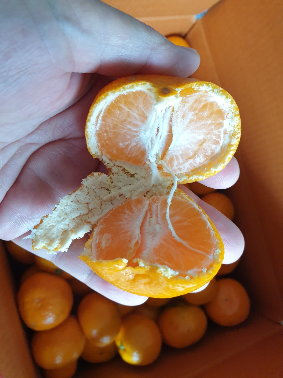 윤희네과일 BAND