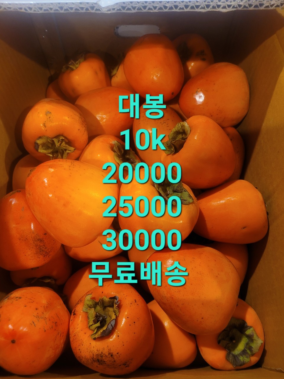 과일새벽경매동영상 가격표 2024년 11월12화요일 천안시농수산물도매시장 경매중도매인 111번 band us