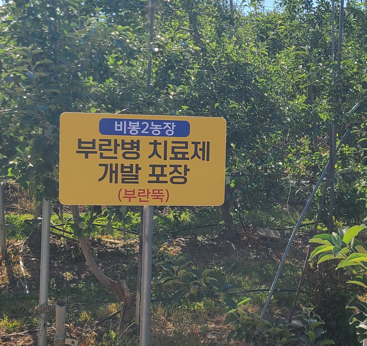링크 미리보기